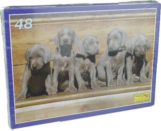 Puzzel Labrador pups - 48 stuks - Fame Puzzles